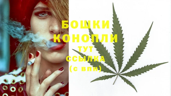 твердый Куйбышев