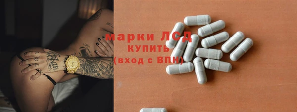 PSILOCYBIN Нестеровская