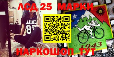мдпв Гатчина