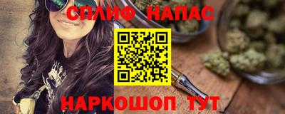 мдпв Гатчина