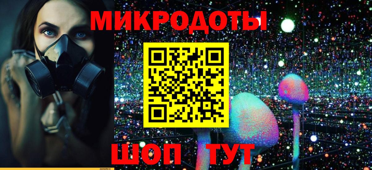 Псилоцибиновые грибы Cubensis  Вход с VPN  Амурск 