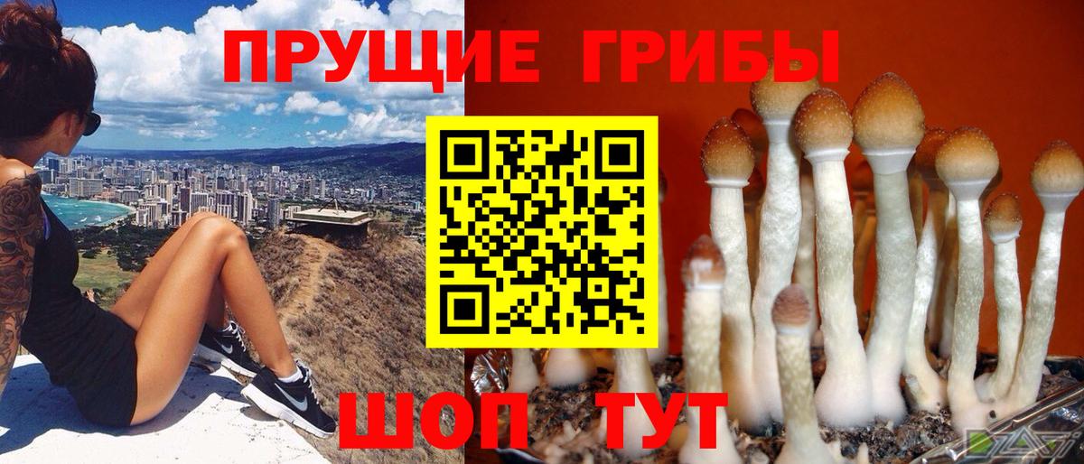 Псилоцибиновые грибы MAGIC MUSHROOMS Амурск