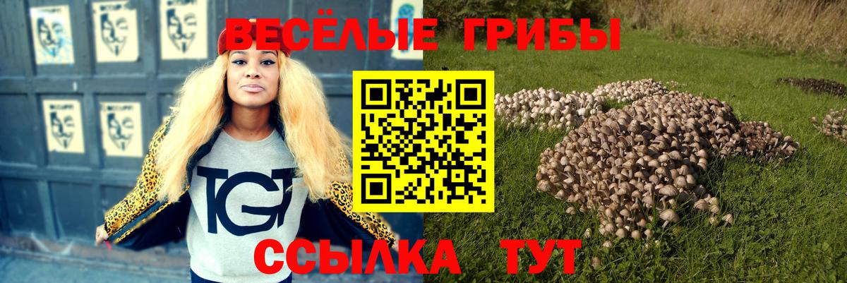 Псилоцибиновые грибы Psilocybine cubensis Амурск