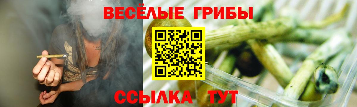 Псилоцибиновые грибы мицелий Амурск