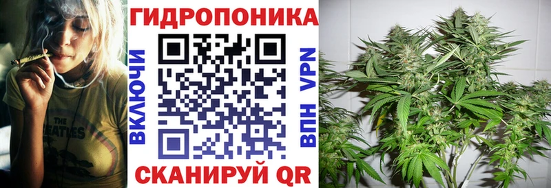 мега tor Амурск Каннабис тримм